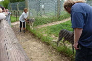 2014-06-16 Wolf 21