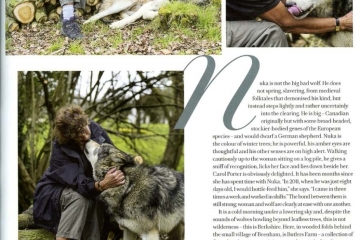 2014-12-19 Wolves 02