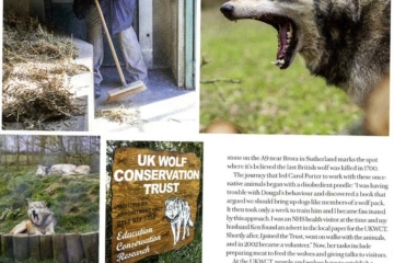 2014-12-19 Wolves 03