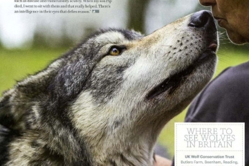 2014-12-19 Wolves 04