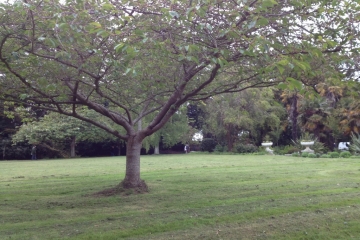 2015-05-08 Portland House 09