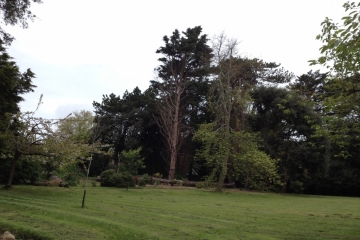 2015-05-08 Portland House 11