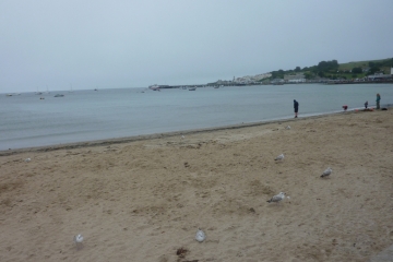 2015-07-20 Swanage 08