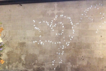 2015-09-16 Flora Magna 04