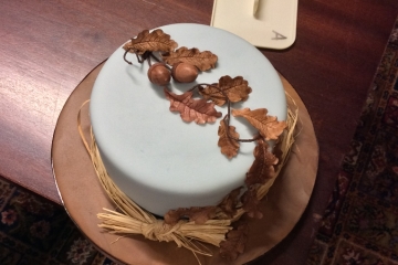 2015-10-05 Cake 03