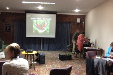 2016-03-07 Butterflies 04