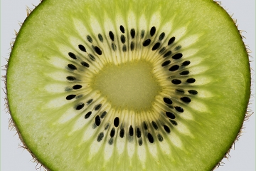 2018-01-08 CE 06 - Kiwi