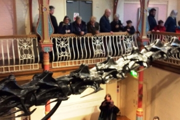 2018-02-19 Dippy 03
