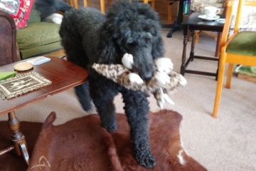 2018-04-16 Carol Coffee 08