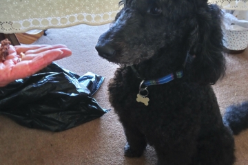 2018-04-16 Carol Coffee 09