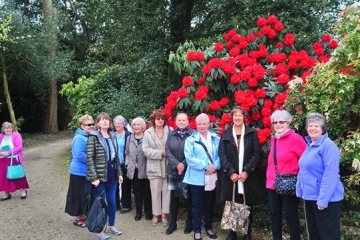 2018-04-23 Minterne 12