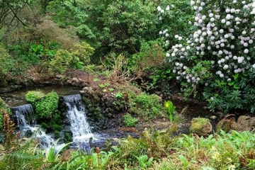 2018-04-23 Minterne 15