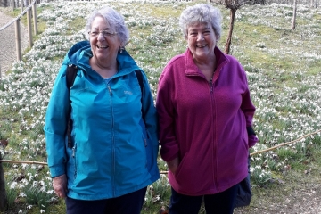 2019-02-19 Snowdrop 3