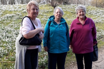 2019-02-19 Snowdrop 4