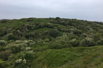 2019-05-18-Walking-Club-Durlston-01