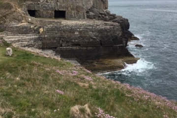 2019-05-18-Walking-Club-Durlston-03