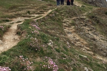 2019-05-18-Walking-Club-Durlston-04