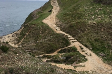 2019-05-18-Walking-Club-Durlston-05