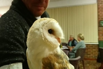 2019-10-07-Owl-Meeting-02