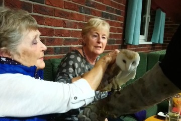2019-10-07-Owl-Meeting-07