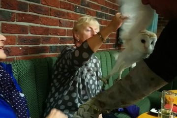2019-10-07-Owl-Meeting-08
