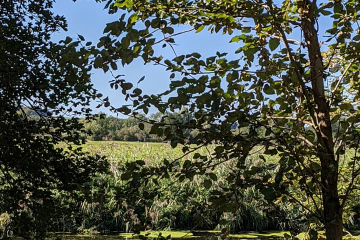 2021-09-20-Social-Club-08