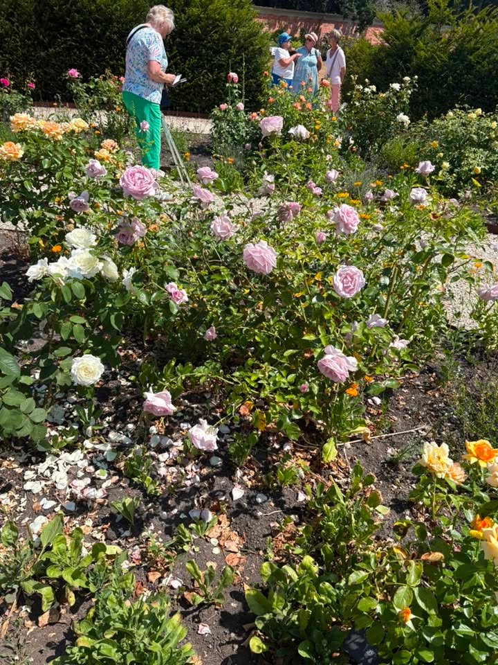 2026-07-22-carey-secret-garden-03