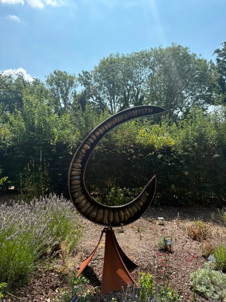 2026-07-22-carey-secret-garden-08