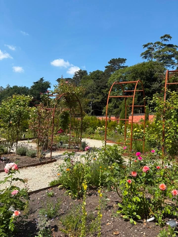 2026-07-22-carey-secret-garden-10