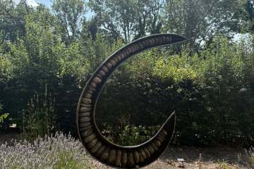 2026-07-22-carey-secret-garden-08