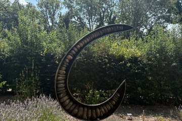 2026-07-22-carey-secret-garden-08