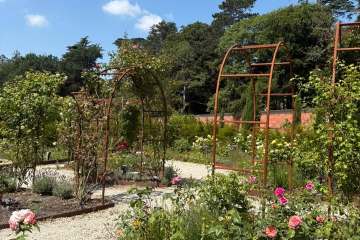 2026-07-22-carey-secret-garden-10