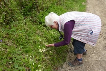 2017-04-21 Chapel Walk 03