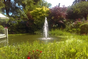 2017-07-17 Summer Lodge 08