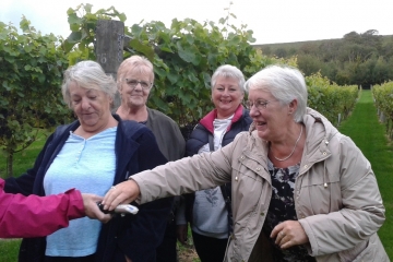 2017-09-18 Portesham Wine 01