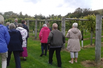 2017-09-18 Portesham Wine 04