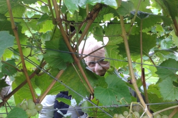 2017-09-18 Portesham Wine 05