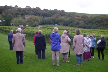 2017-09-18 Portesham Wine 10